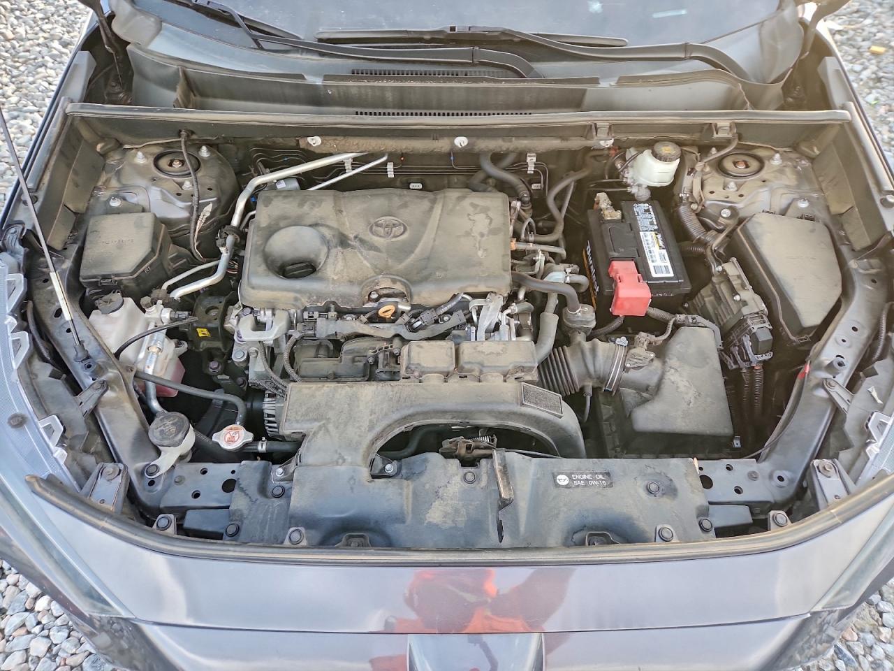 2019 TOYOTA RAV4 LE photo 12