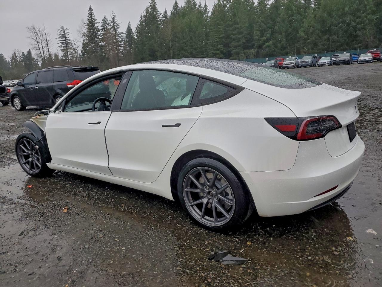 2021 TESLA MODEL 3 photo 3