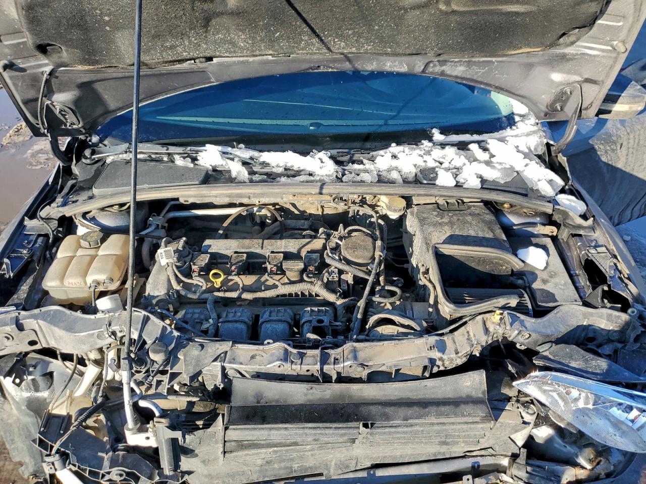 2014 FORD FOCUS SE photo 12
