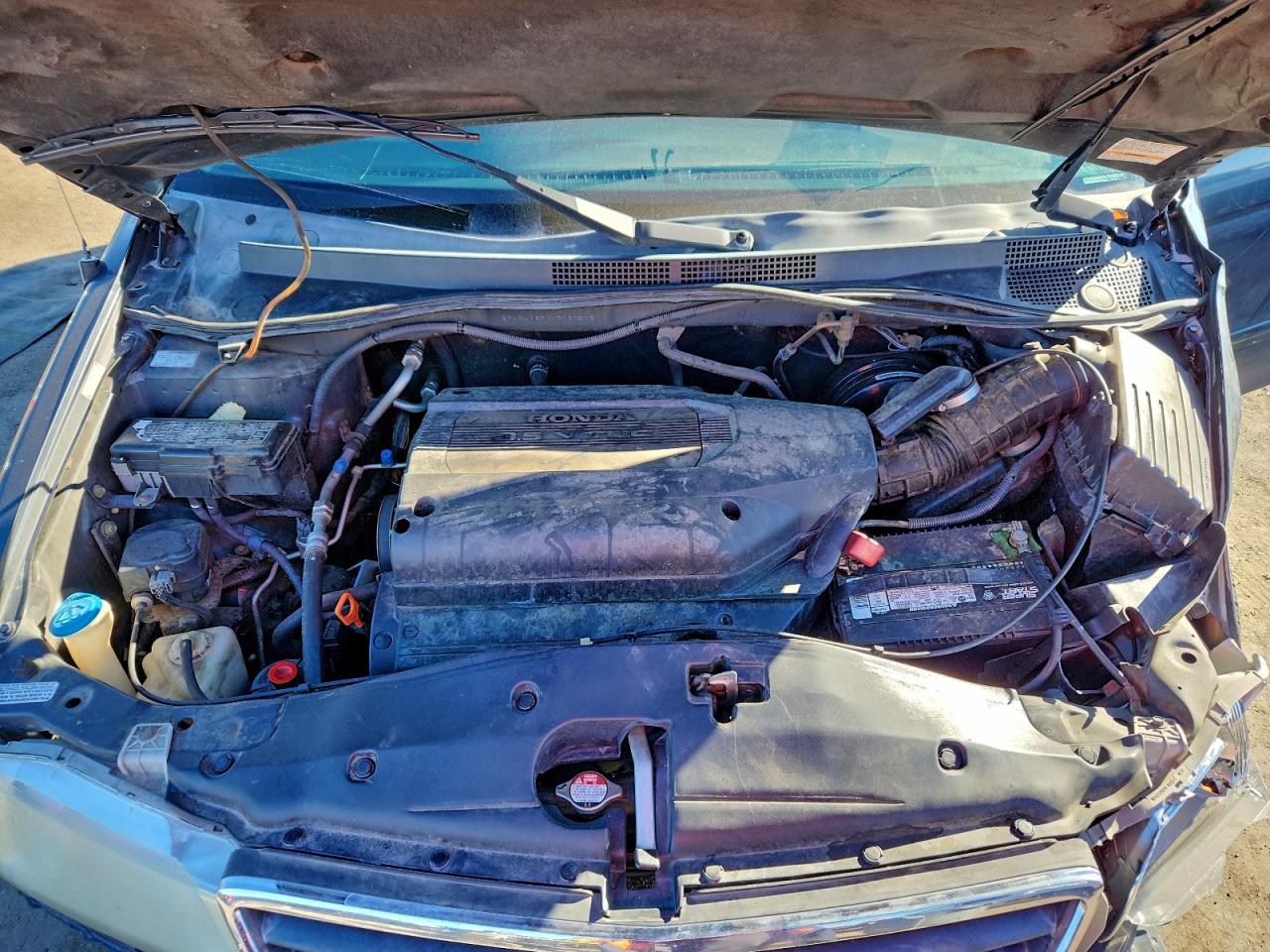 2004 HONDA ODYSSEY EXL photo 12