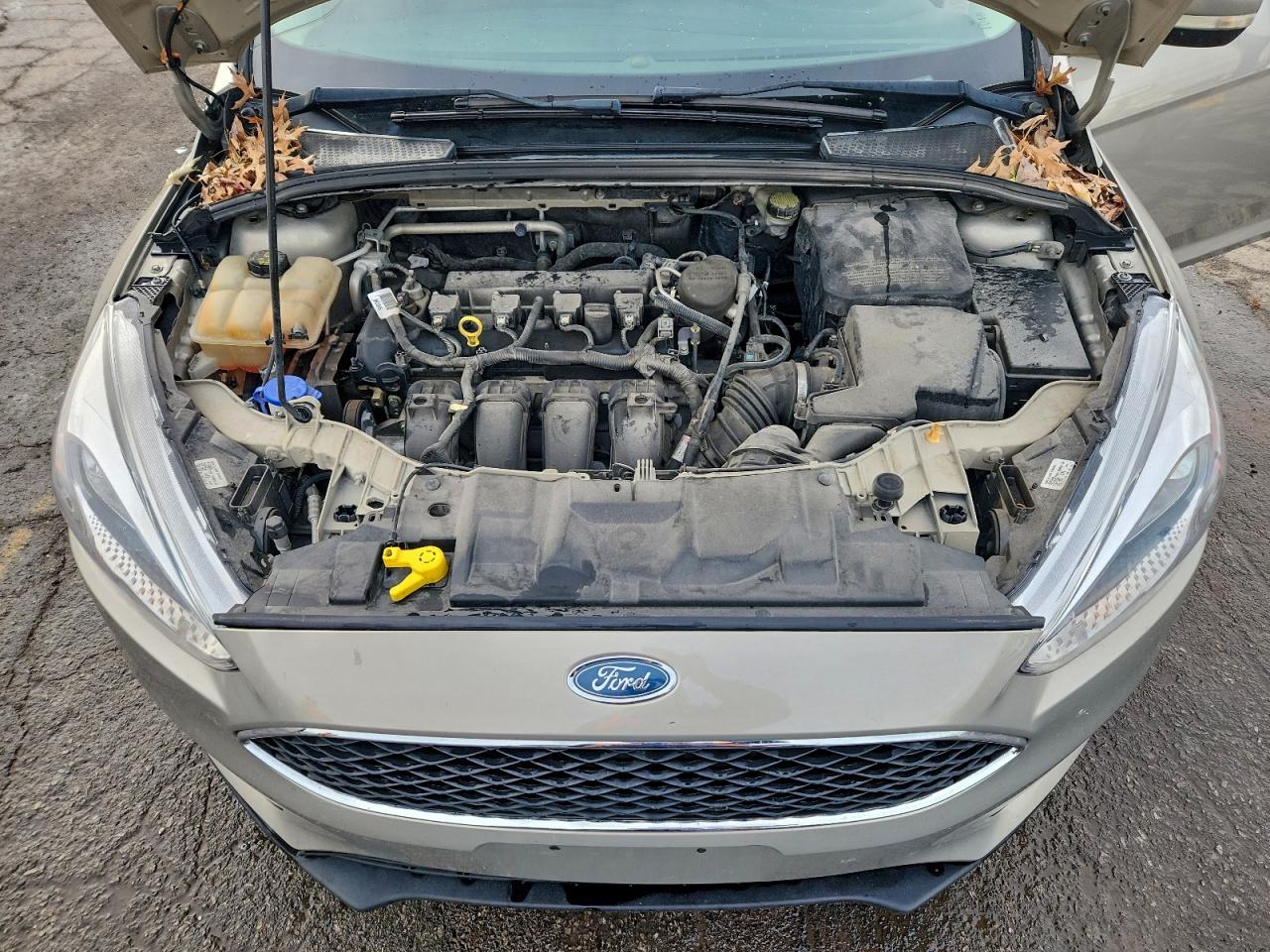2015 FORD FOCUS SE photo 41