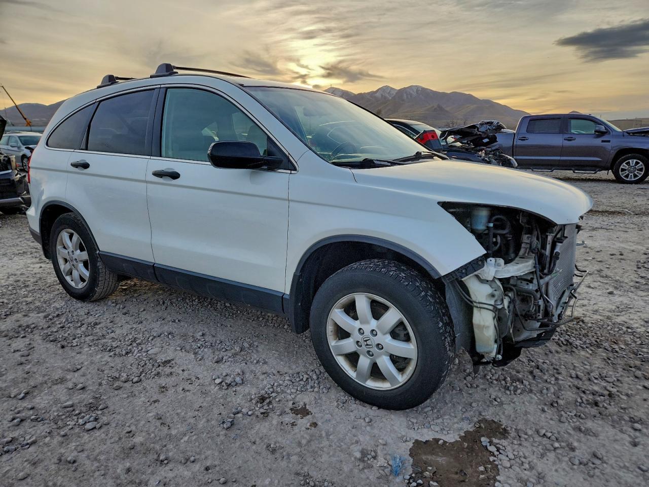 2007 HONDA CR-V EX photo 7