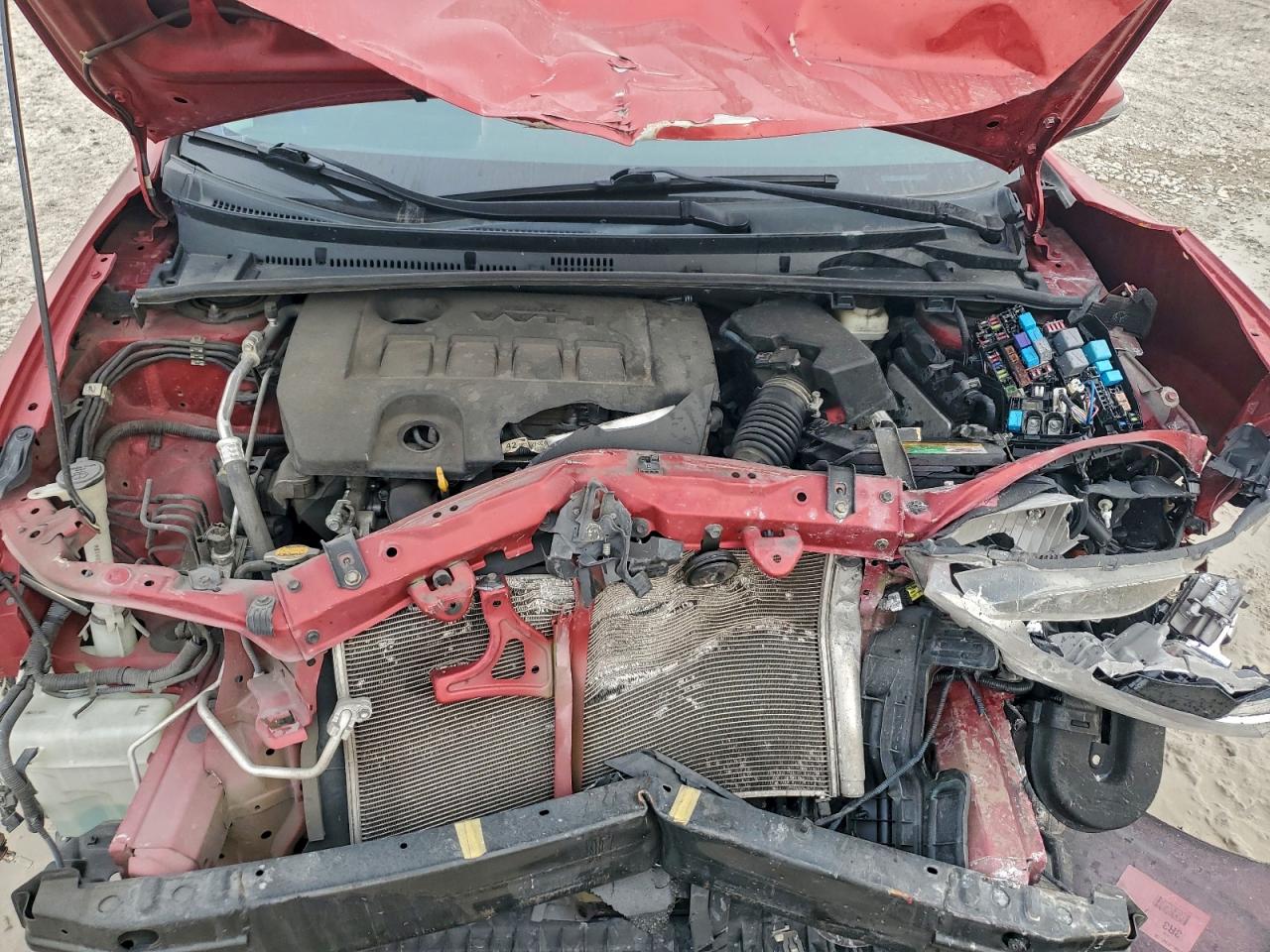 2014 TOYOTA COROLLA L photo 11