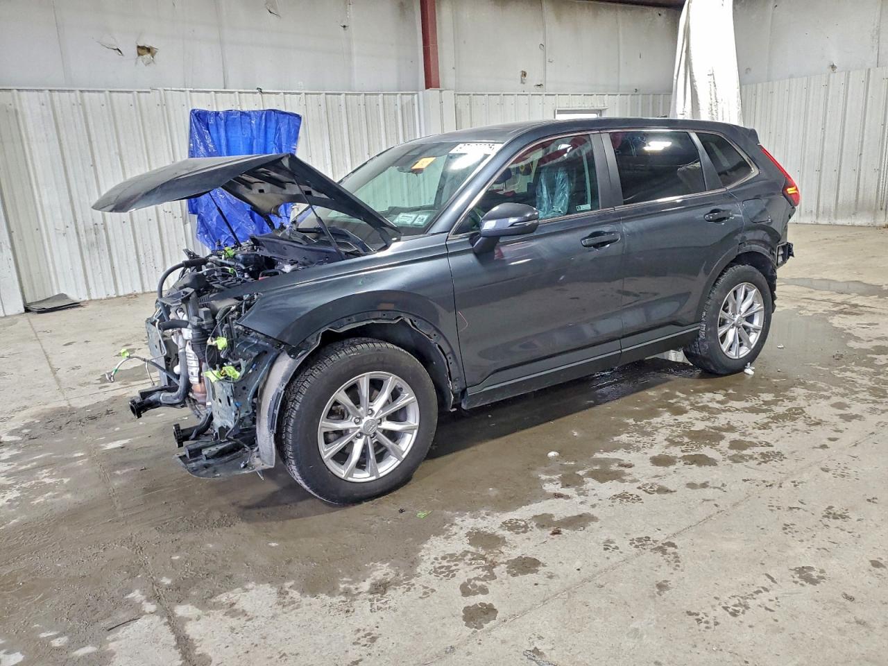 2024 HONDA CR-V