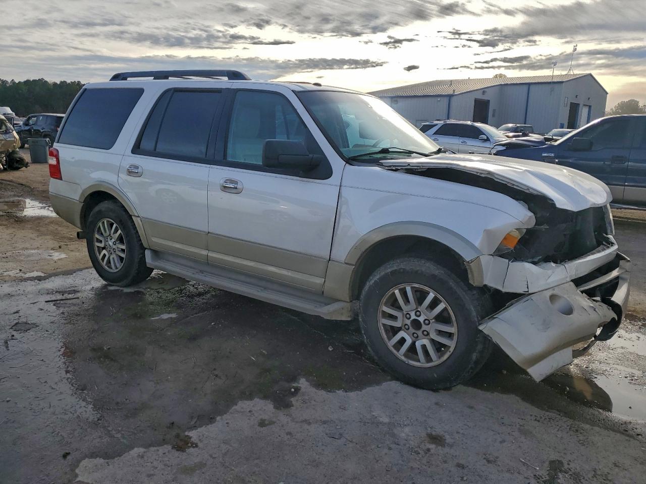 2010 FORD EXPEDITION EDDIE BAUER photo 4