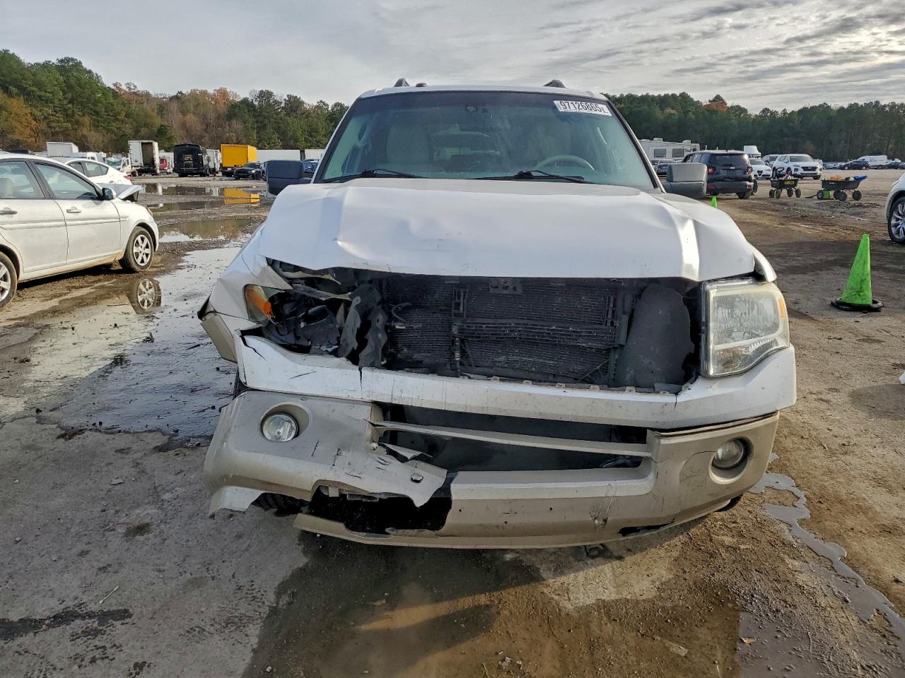 2010 FORD EXPEDITION EDDIE BAUER photo 5