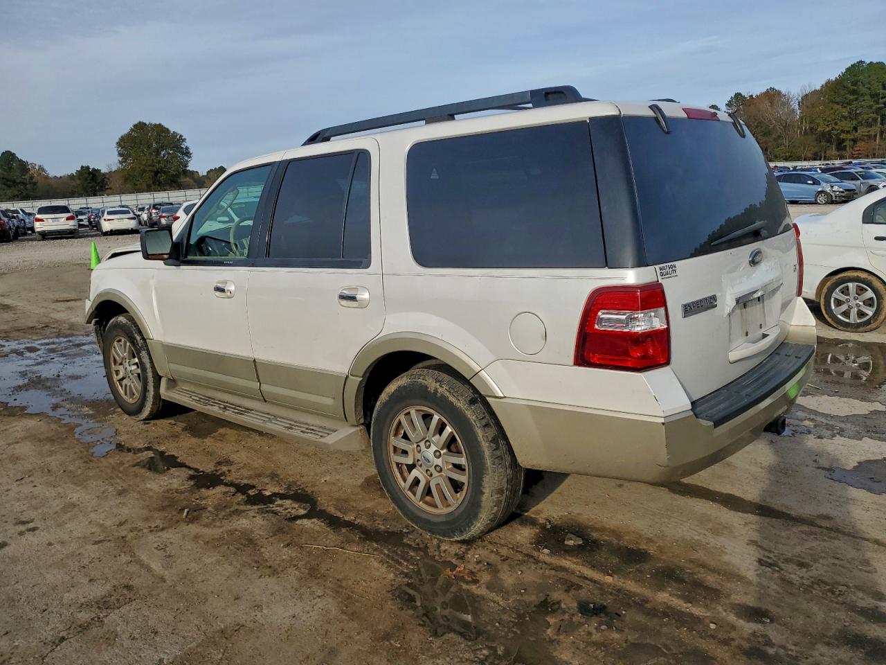 2010 FORD EXPEDITION EDDIE BAUER photo 2