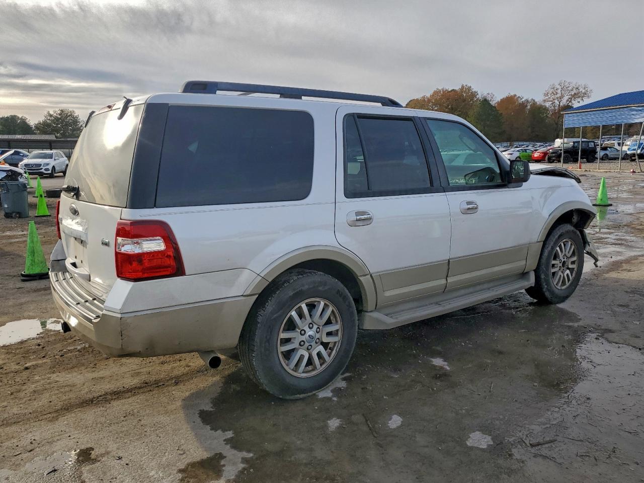 2010 FORD EXPEDITION EDDIE BAUER photo 3
