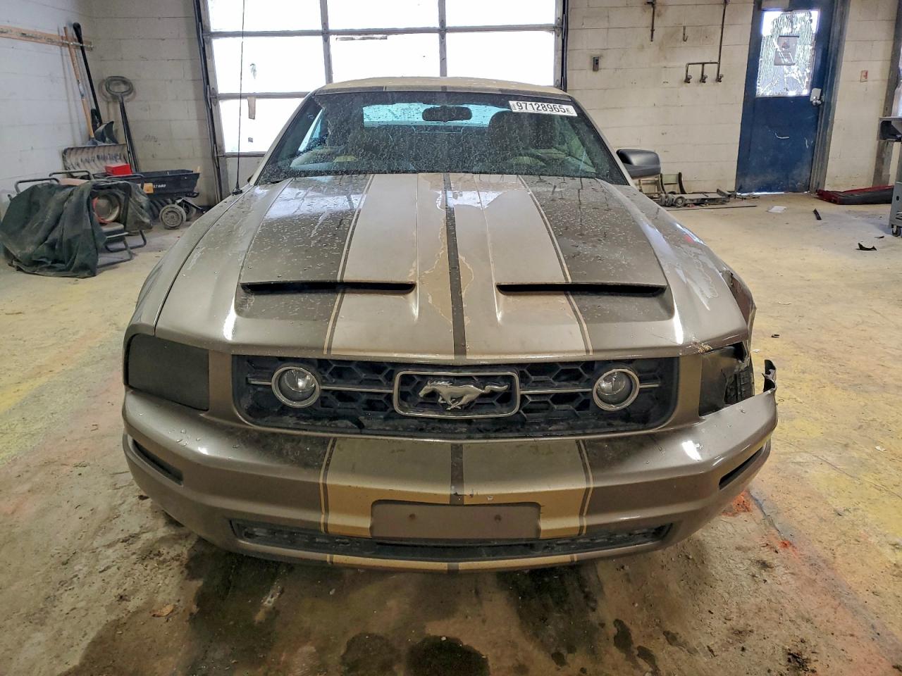2005 FORD MUSTANG photo 13