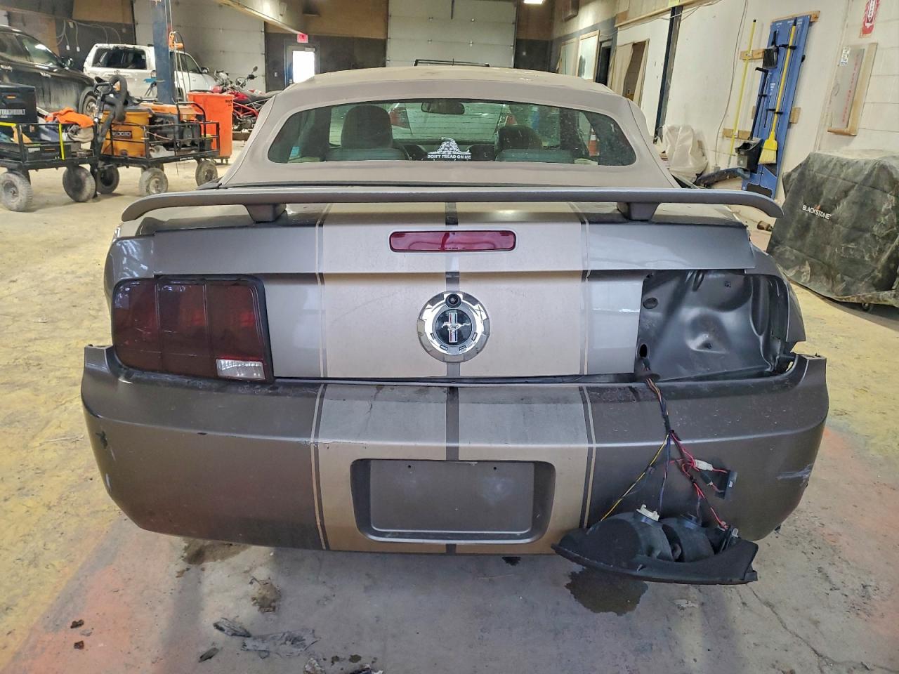 2005 FORD MUSTANG photo 16