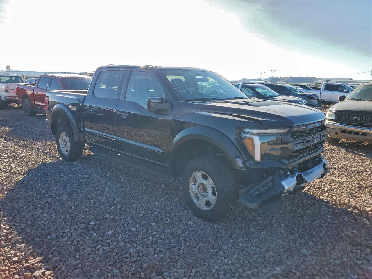 2025 FORD F150 RAPTOR photo 7