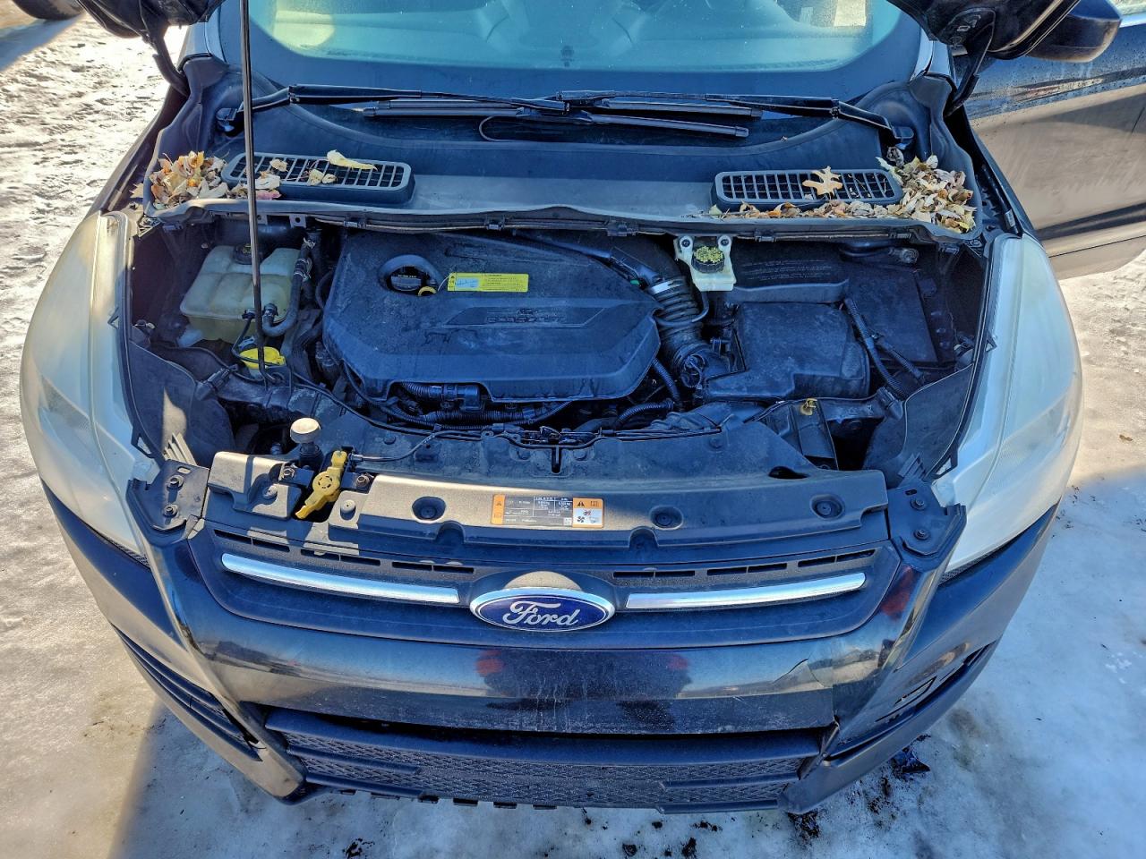 2014 FORD ESCAPE SE photo 12
