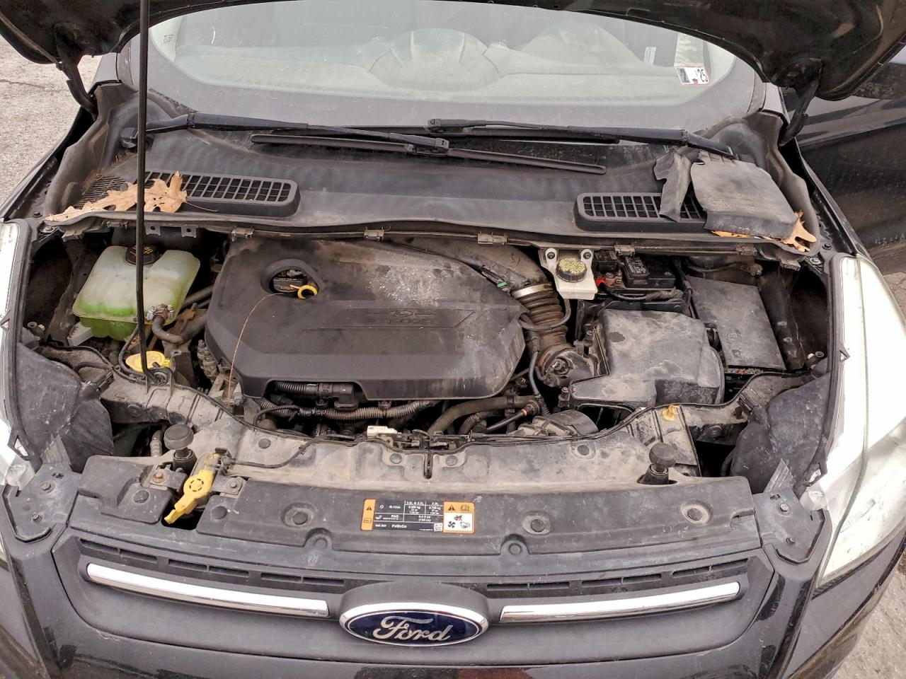 2014 FORD ESCAPE SE photo 12