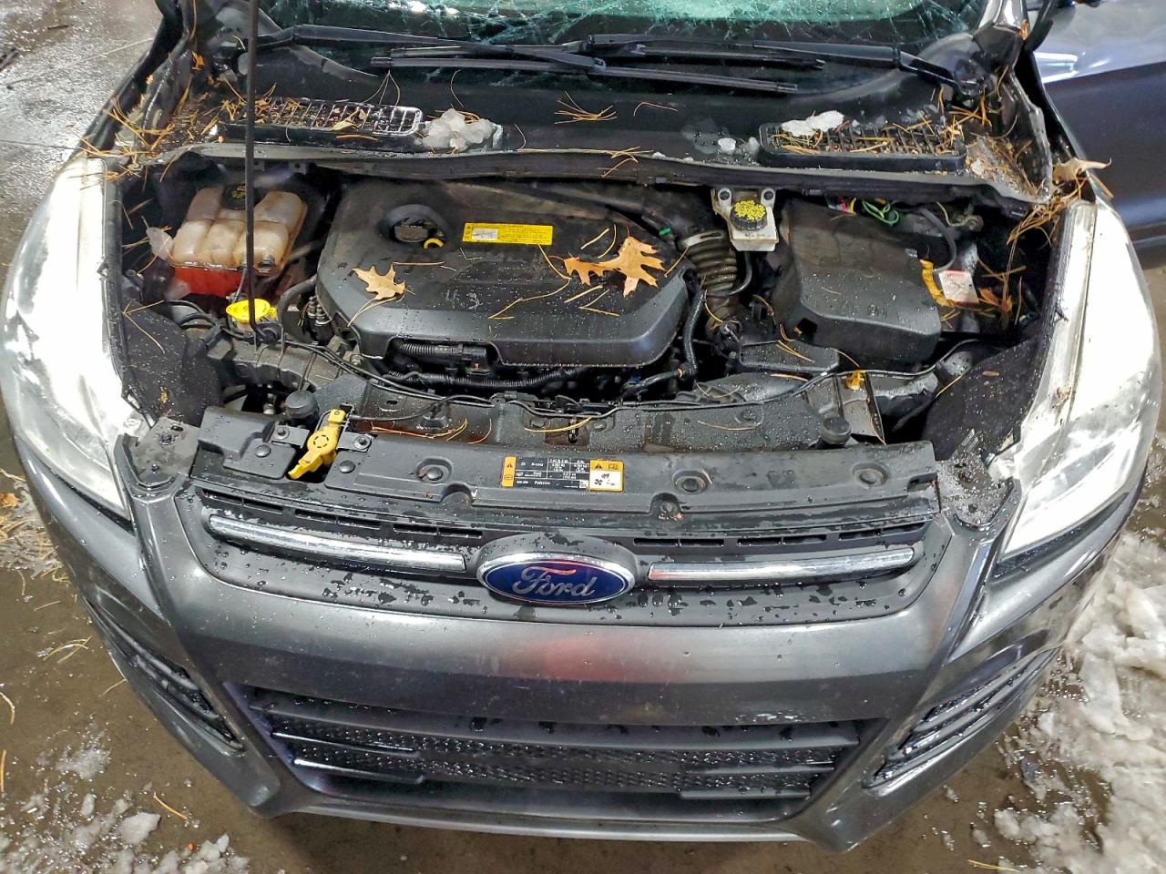 2015 FORD ESCAPE SE photo 23