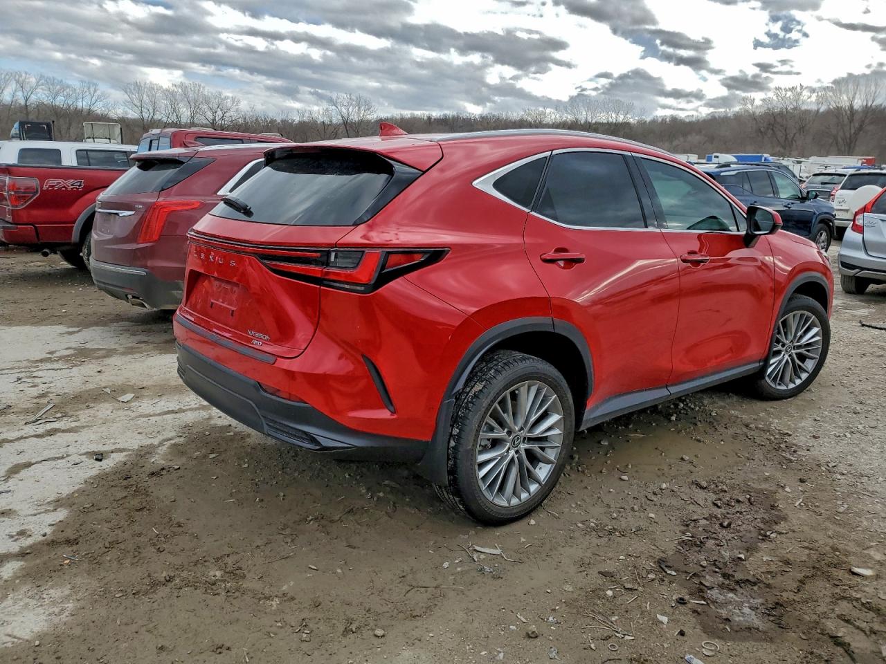 2024 LEXUS NX 350H BASE photo 3