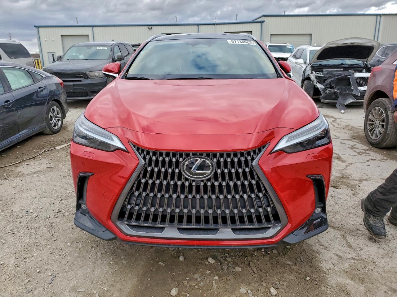2024 LEXUS NX 350H BASE photo 5