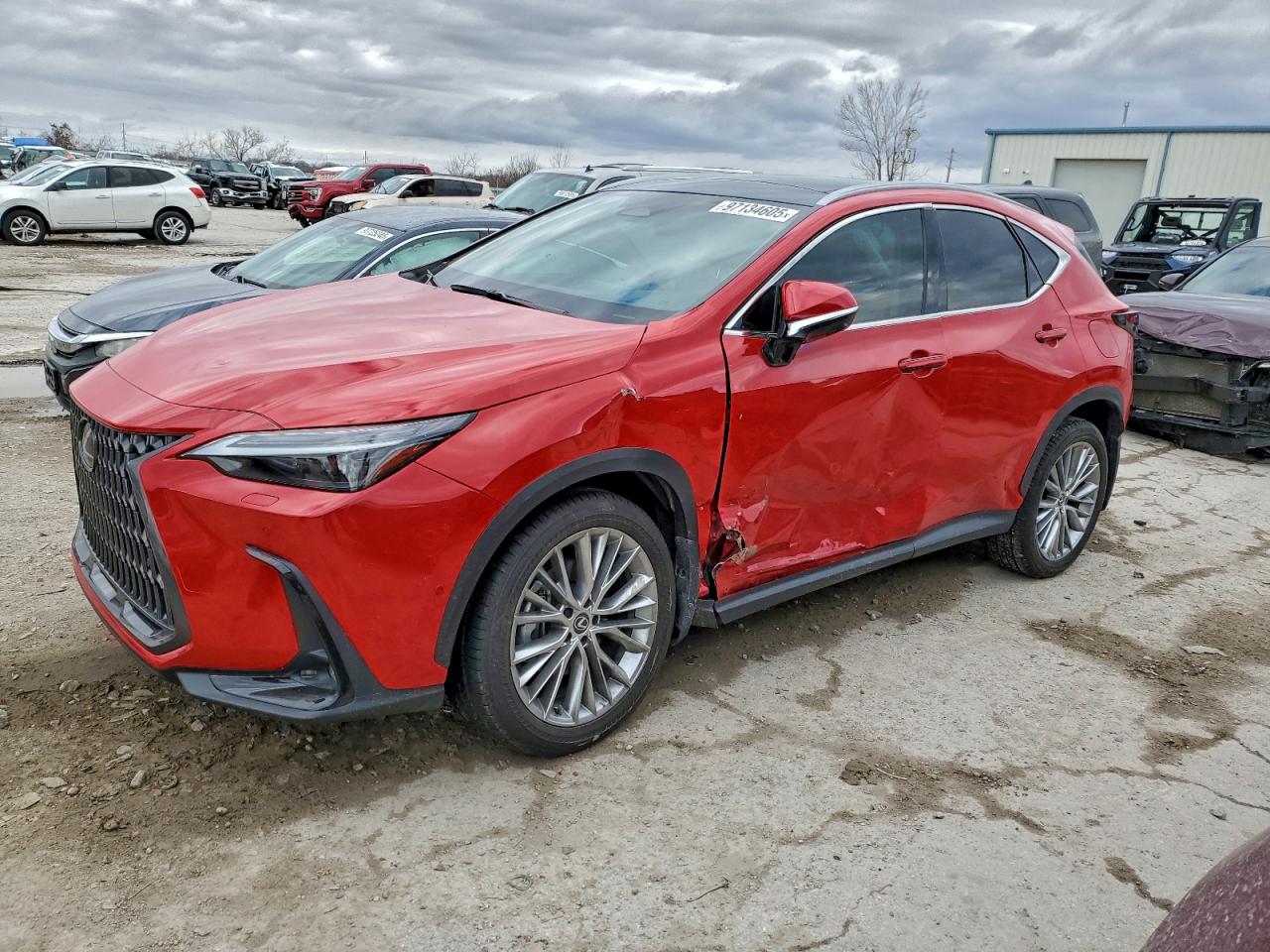 2024 LEXUS NX