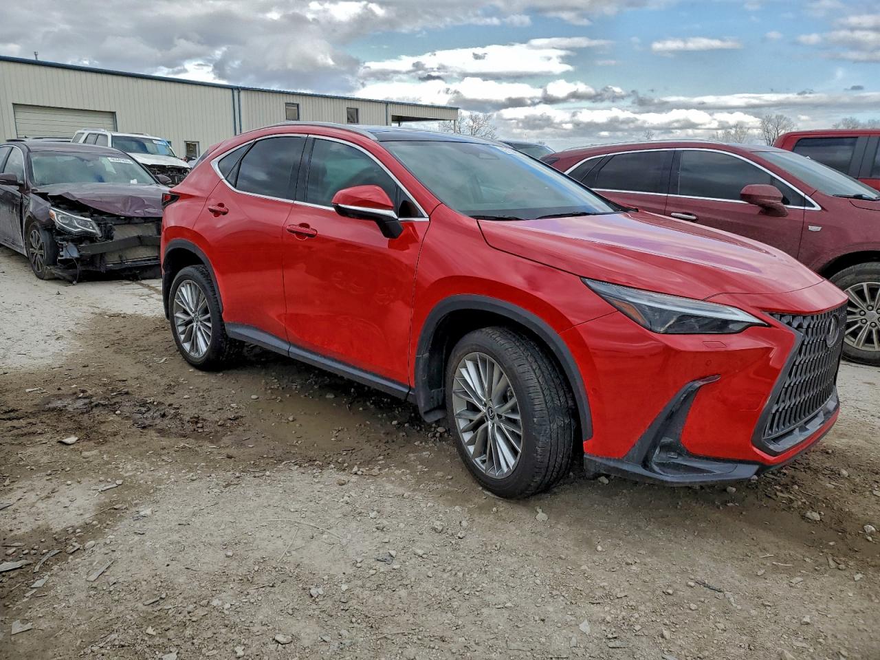 2024 LEXUS NX 350H BASE photo 4