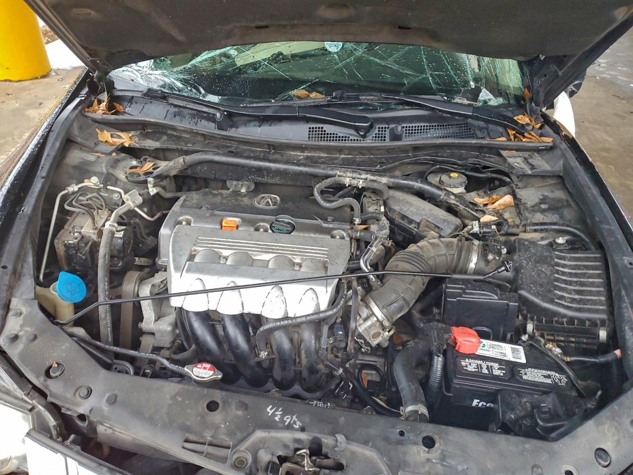 2010 ACURA TSX photo 11