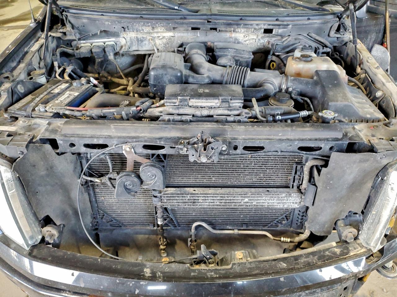 2010 FORD F150 SUPERCREW photo 11