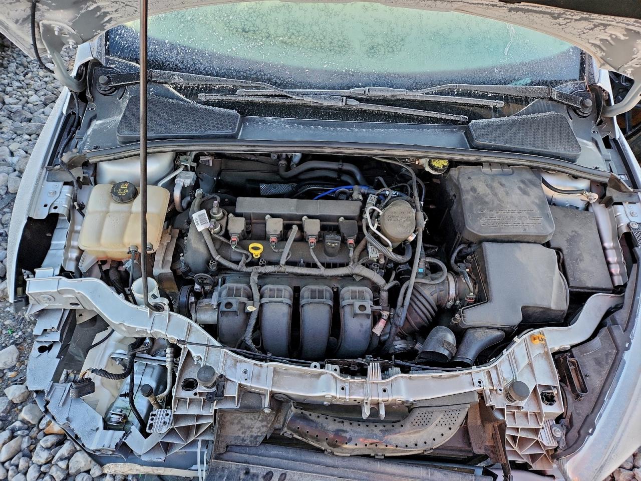 2015 FORD FOCUS SE photo 11