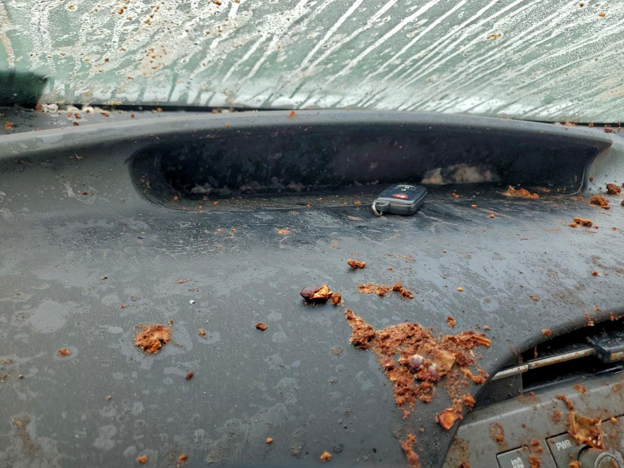 2012 TOYOTA PRIUS photo 9