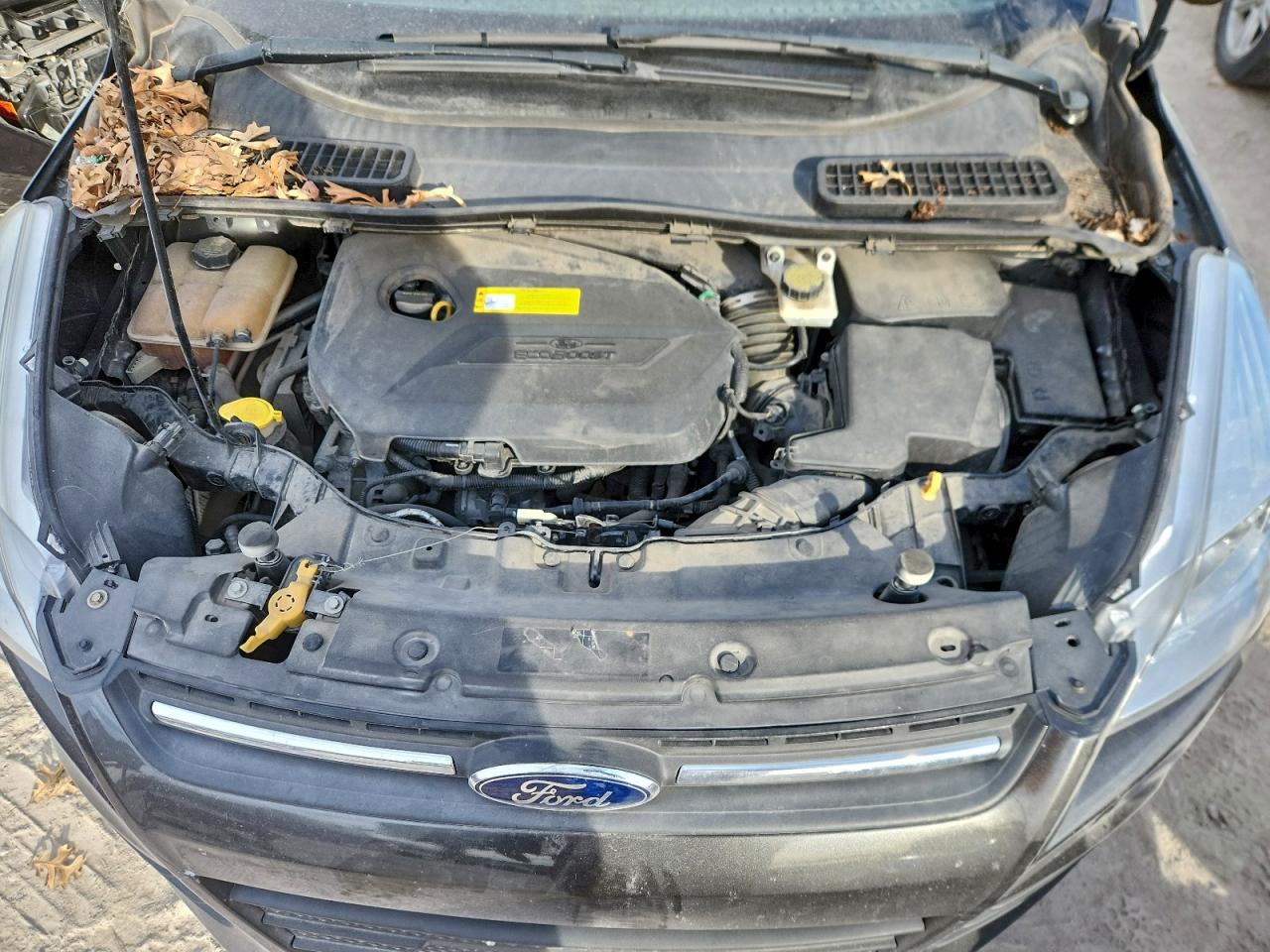 2016 FORD ESCAPE SE photo 31