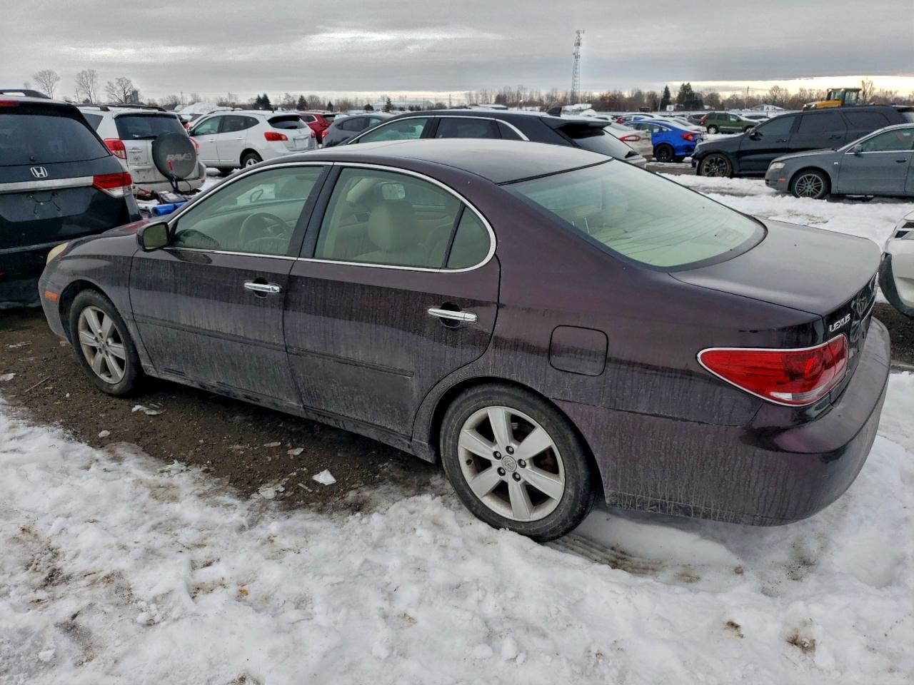 2005 LEXUS ES 330 photo 2