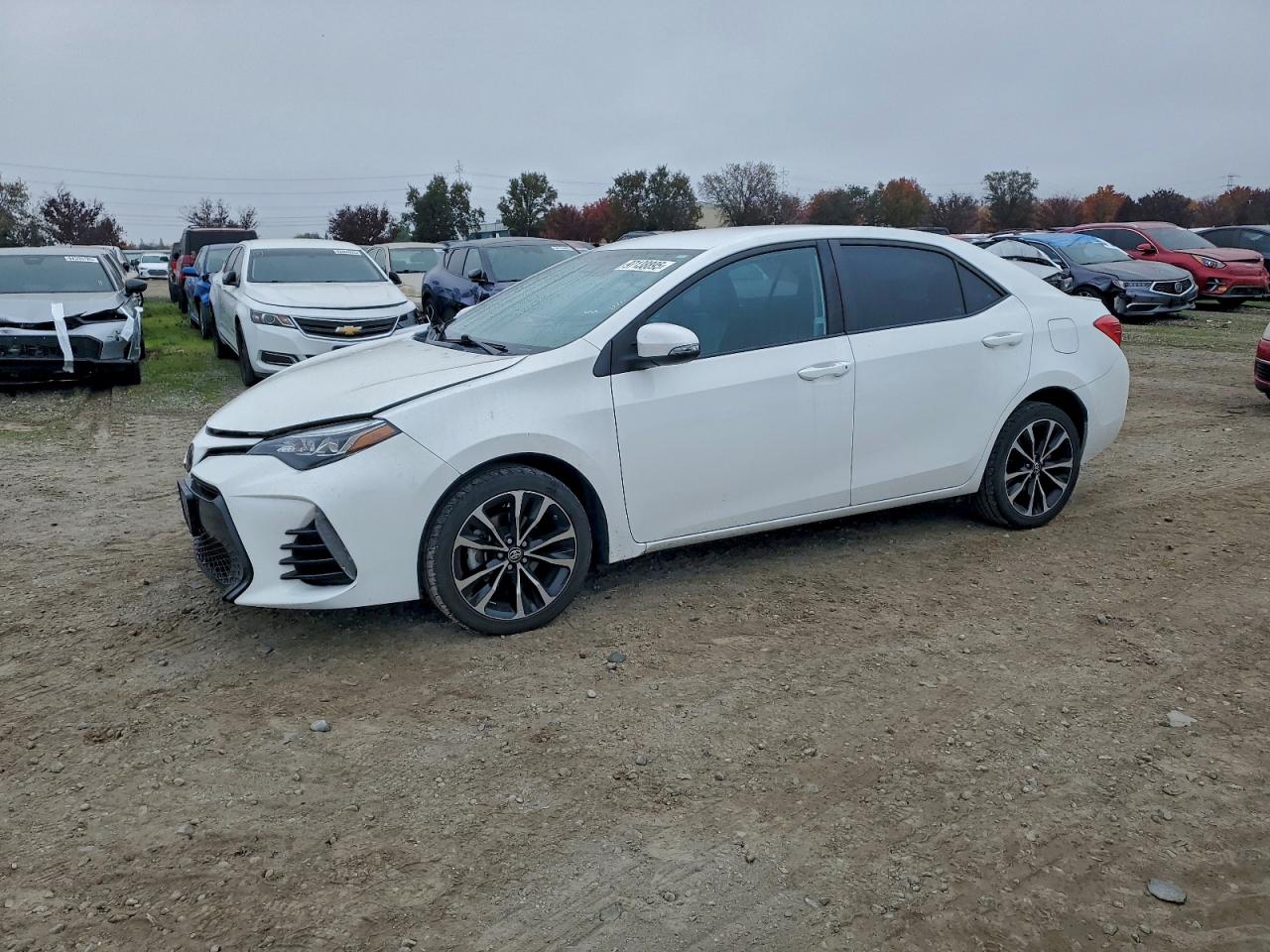 2019 TOYOTA COROLLA