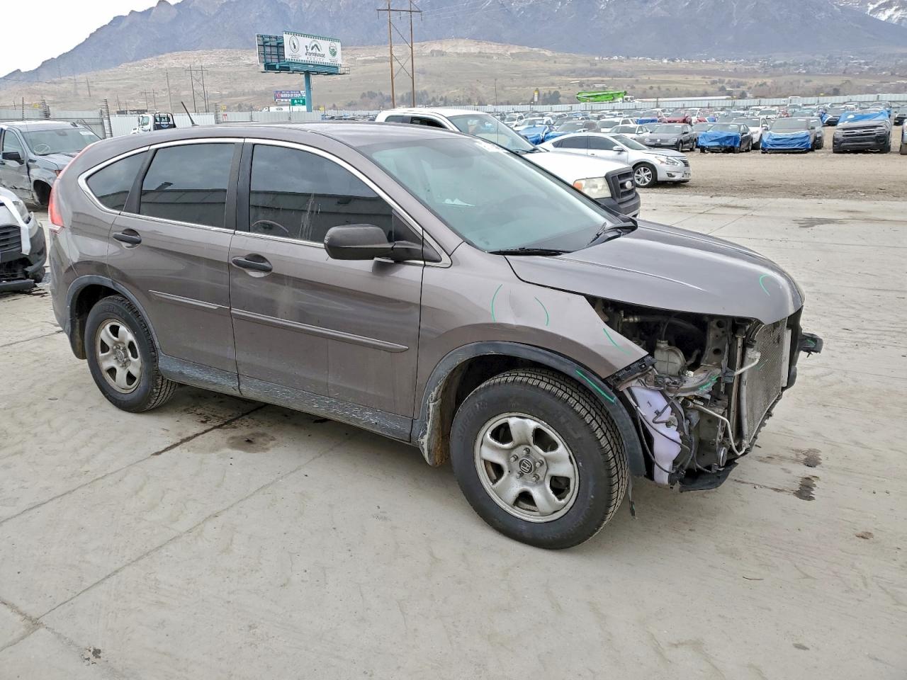 2014 HONDA CR-V LX photo 7