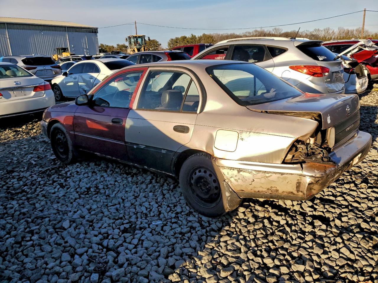 1995 TOYOTA COROLLA photo 4