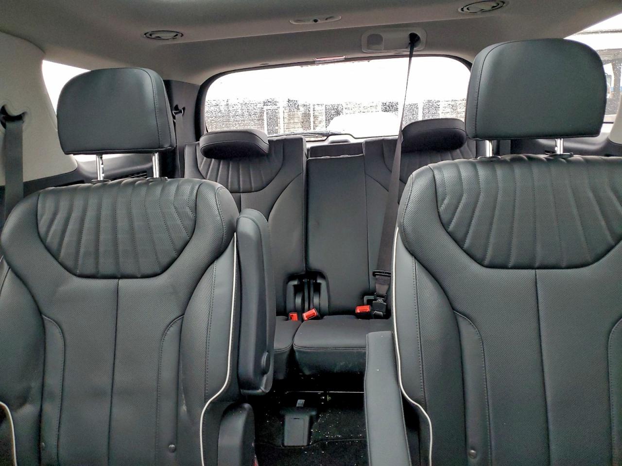 2024 HYUNDAI PALISADE LIMITED photo 10