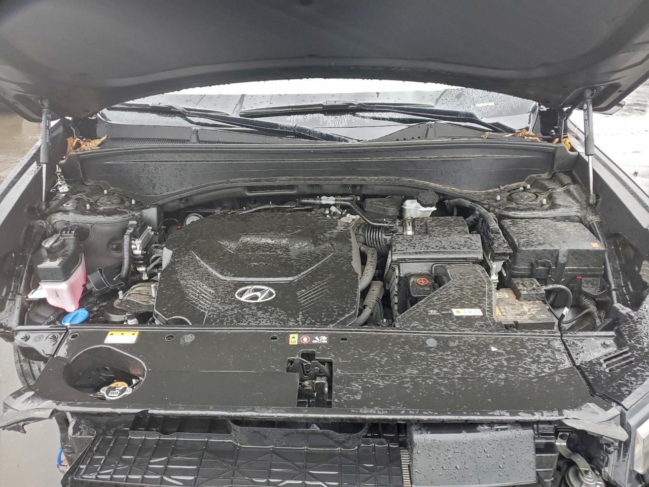 2024 HYUNDAI PALISADE LIMITED photo 12
