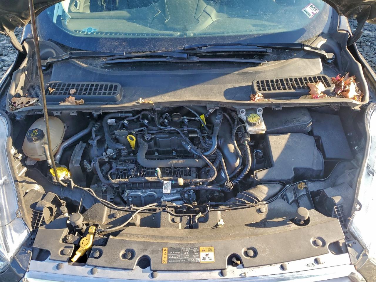 2019 FORD ESCAPE SE photo 23