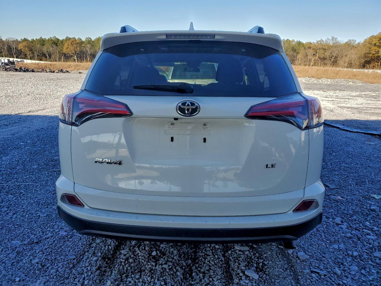 2017 TOYOTA RAV4 LE photo 11