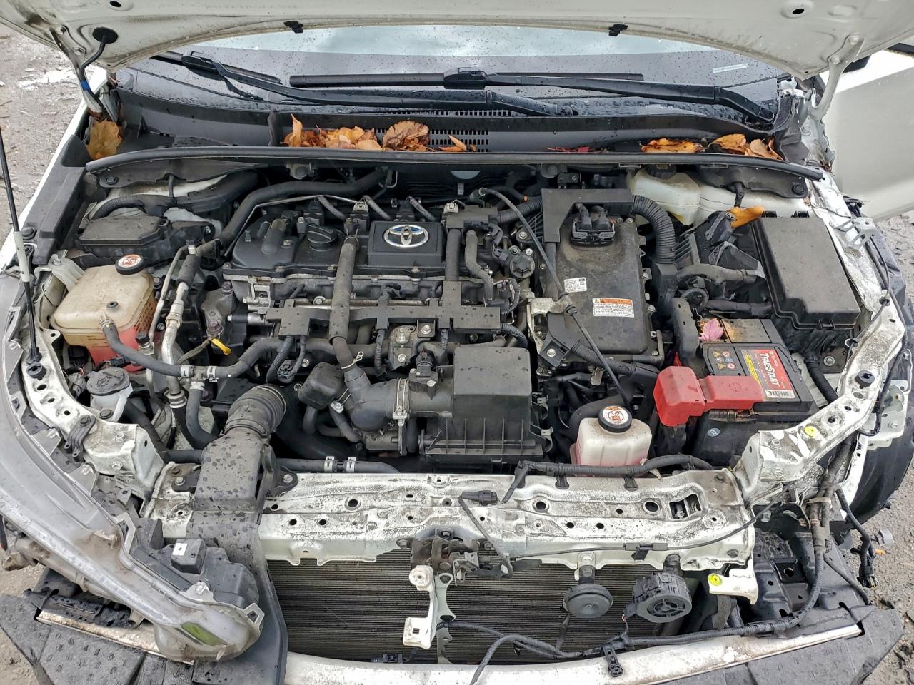 2020 TOYOTA COROLLA LE photo 11