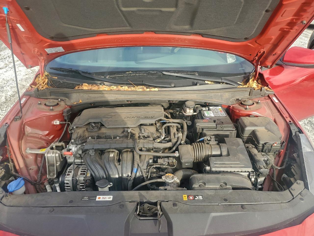 2023 HYUNDAI ELANTRA SEL photo 11