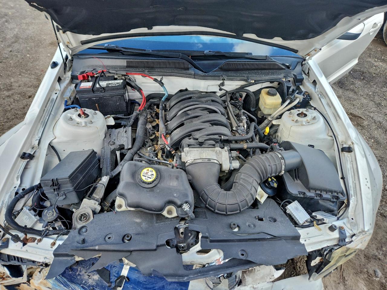 2007 FORD MUSTANG GT photo 11