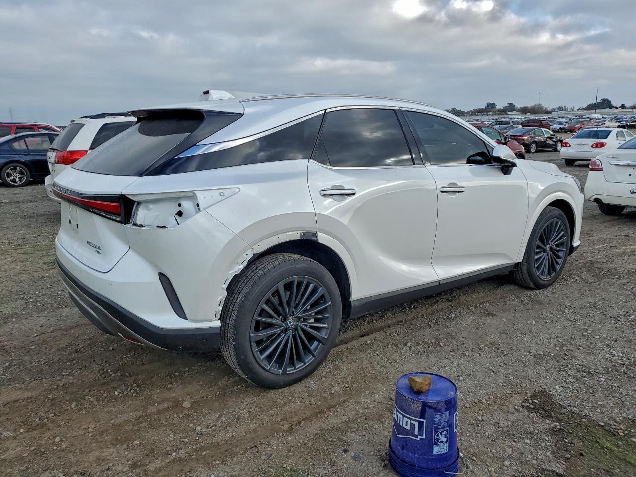 2025 LEXUS RX 350H BASE photo 3