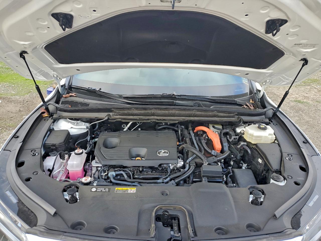 2025 LEXUS RX 350H BASE photo 12
