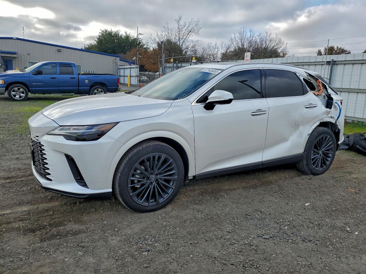 2025 LEXUS RX