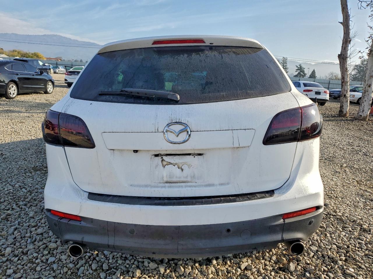 2014 MAZDA CX-9 TOURING photo 21