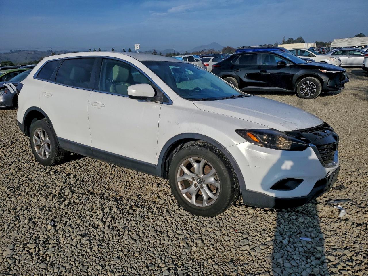 2014 MAZDA CX-9 TOURING photo 13