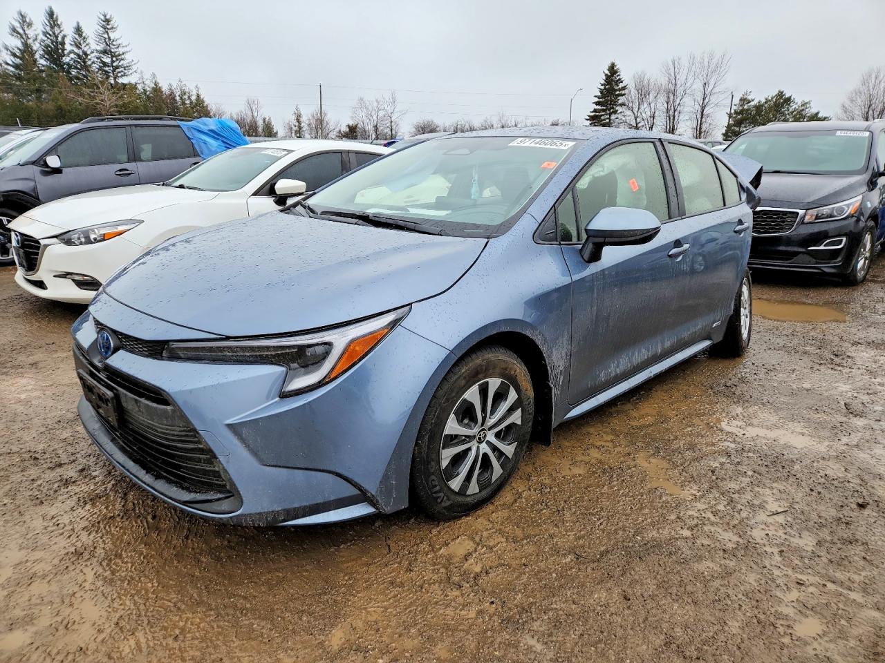 2025 TOYOTA COROLLA
