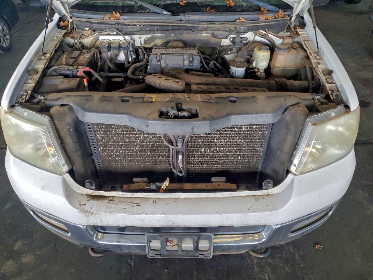 2004 FORD F150 SUPERCREW photo 21