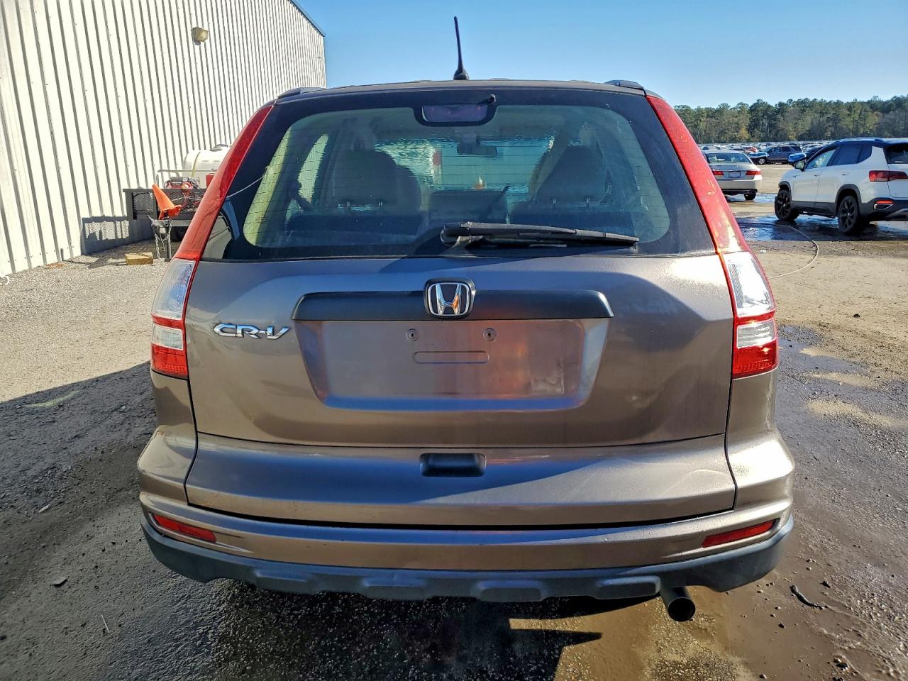 2010 HONDA CR-V LX photo 6