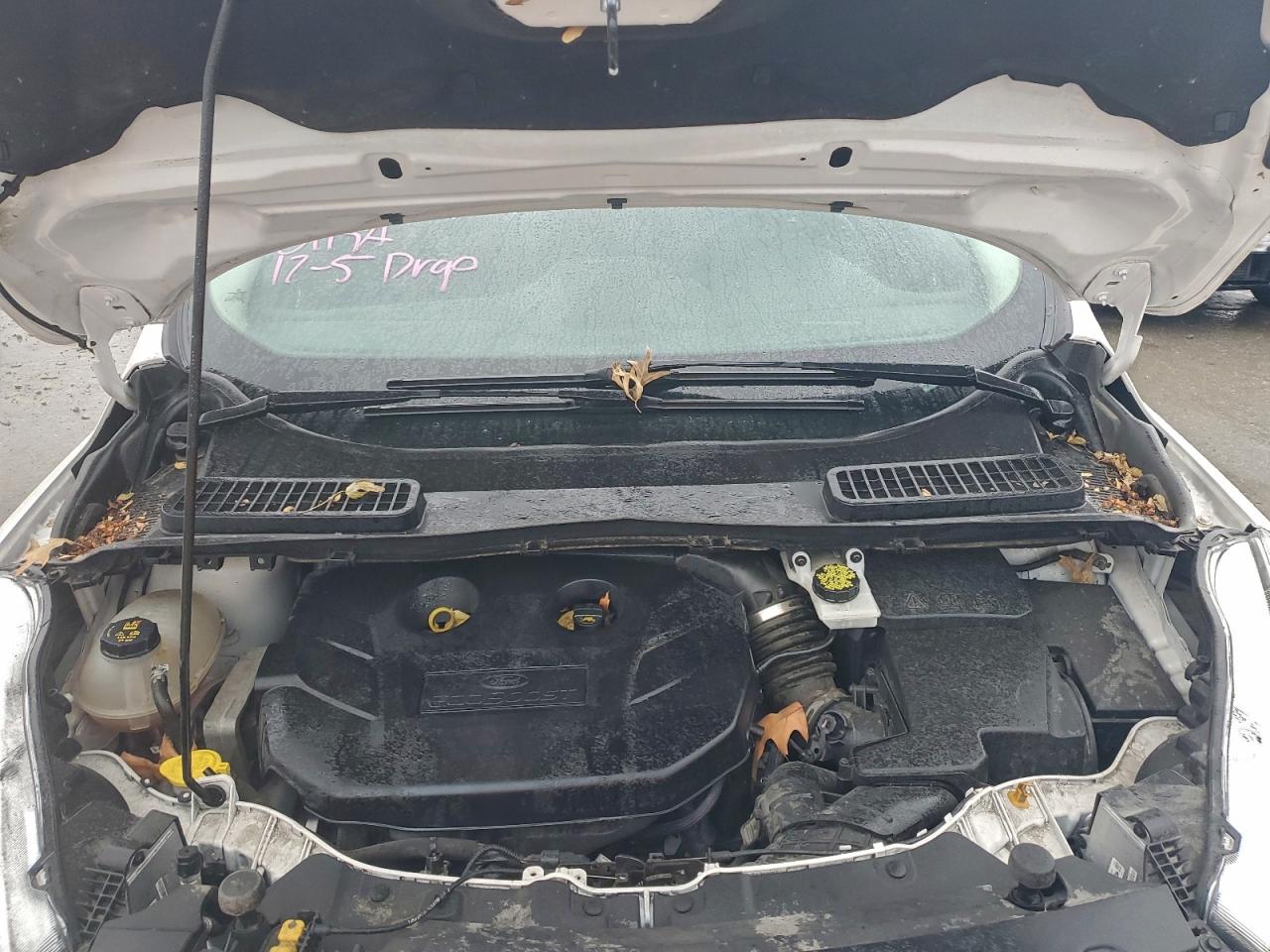 2019 FORD ESCAPE TITANIUM photo 12