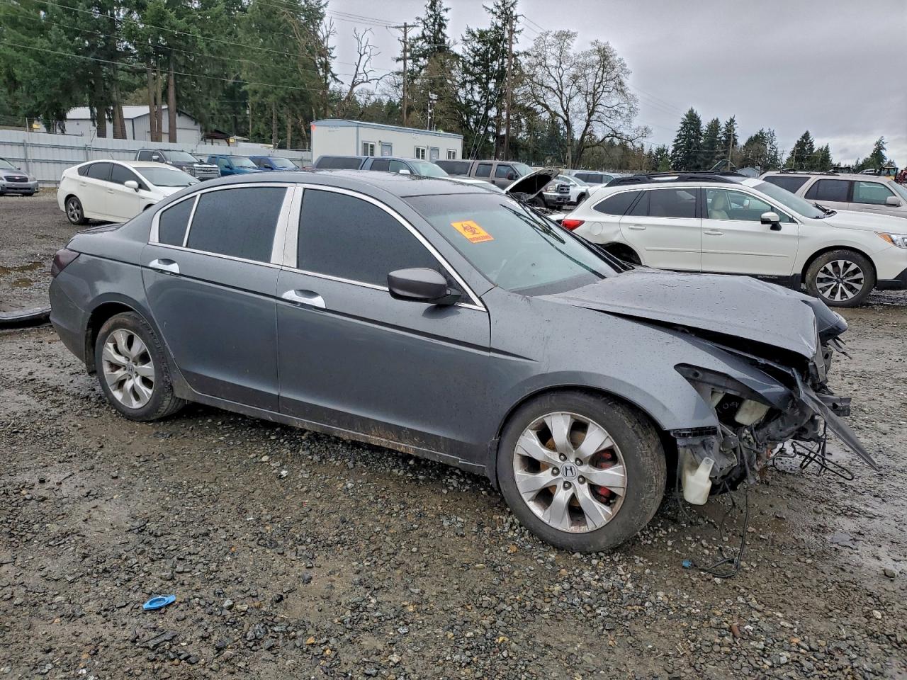 2009 HONDA ACCORD EXL photo 7