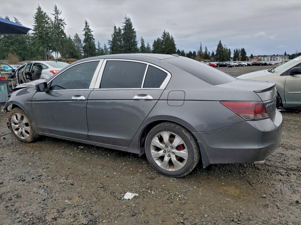 2009 HONDA ACCORD EXL photo 3