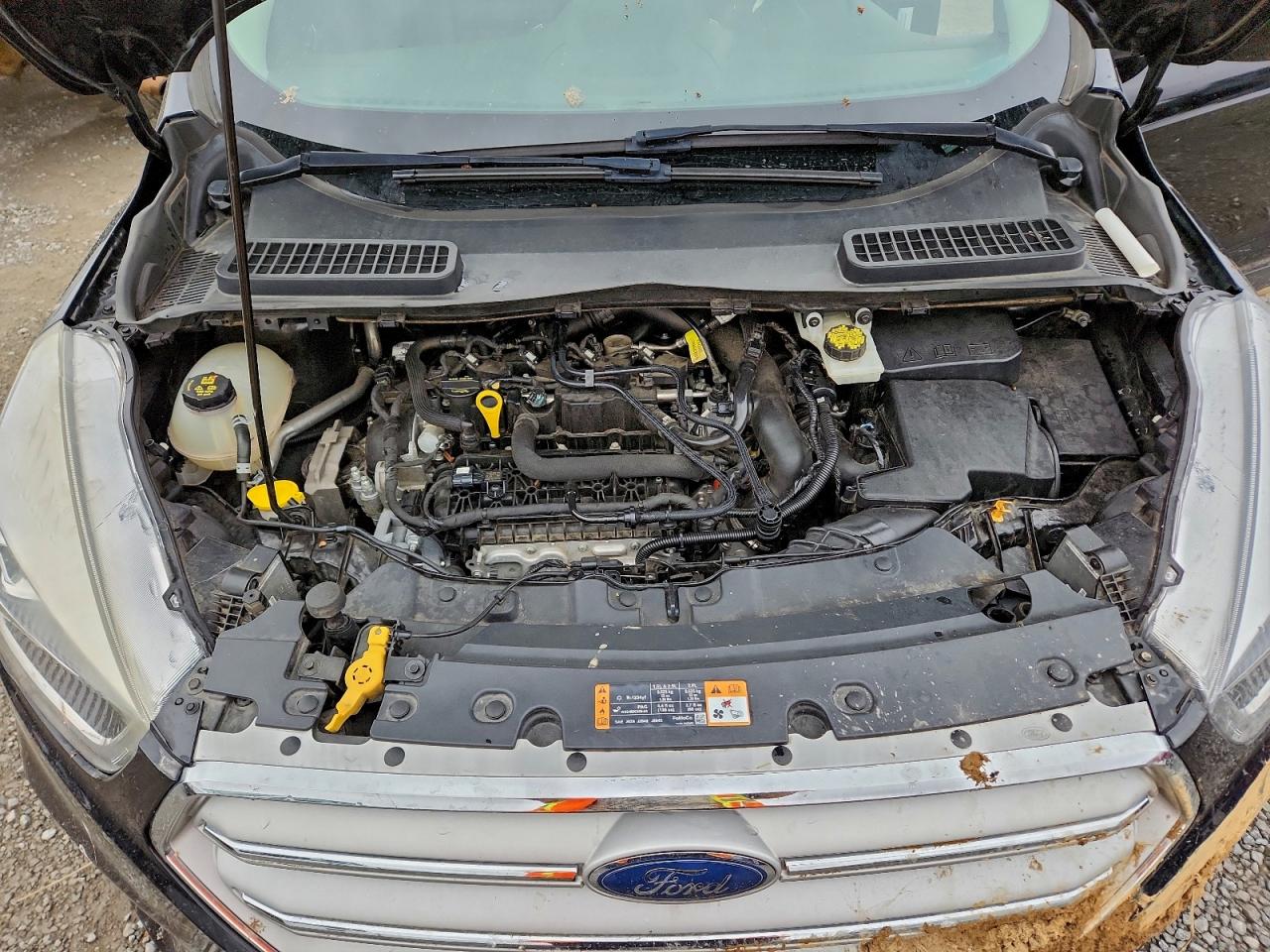 2019 FORD ESCAPE SEL photo 12